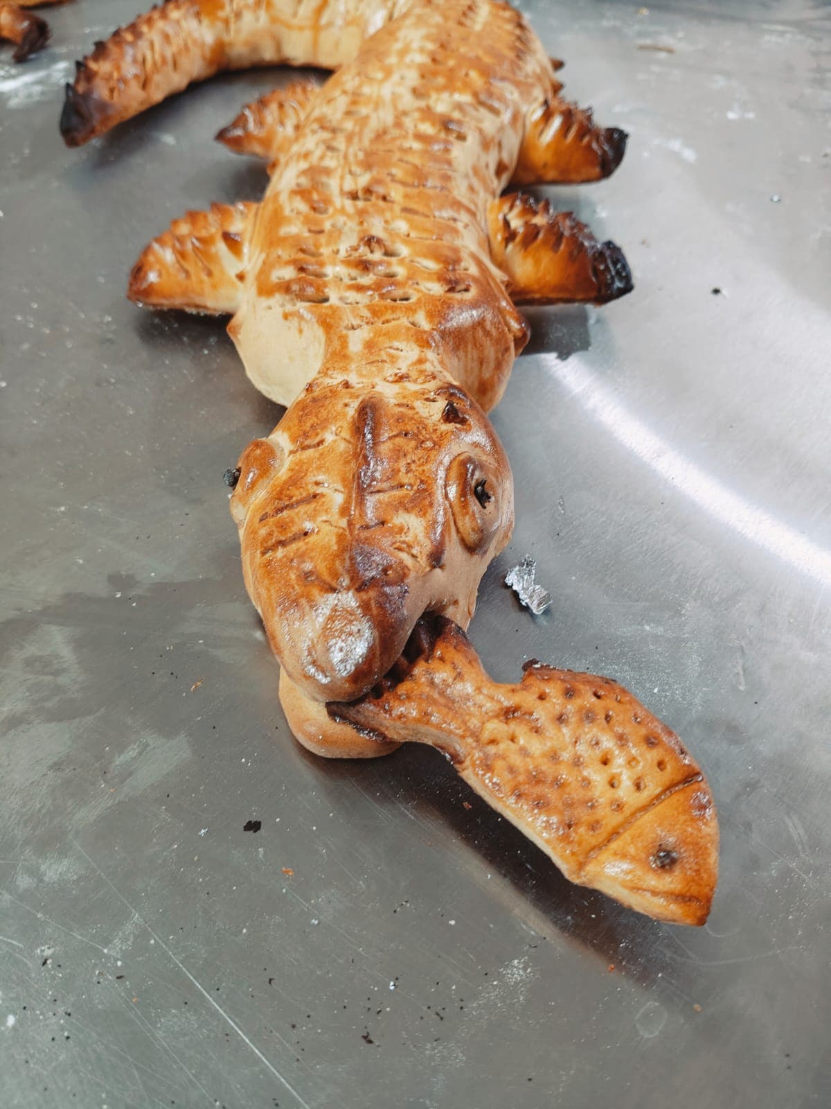 Dangayach School of Hotel Management Jaipur Life @ DSHM photo 36